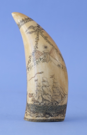 Outstanding Polychrome Engraved Wales Tooth Depicting the ship Mary, American circa 1850