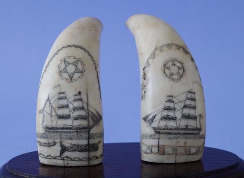 Pair of Polychrome Whales Teeth with Ships and Whaling Scene
