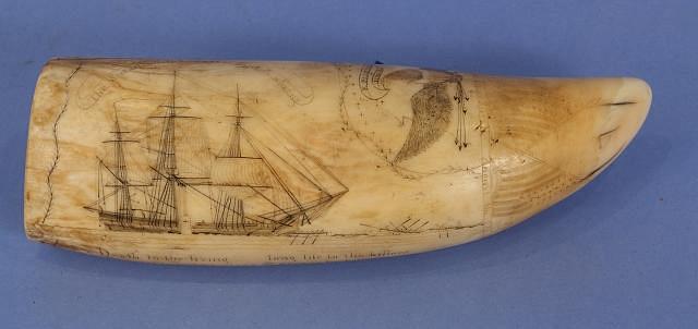 Susan's Tooth signed and Dated F. Myrick Aug. 28, 1829