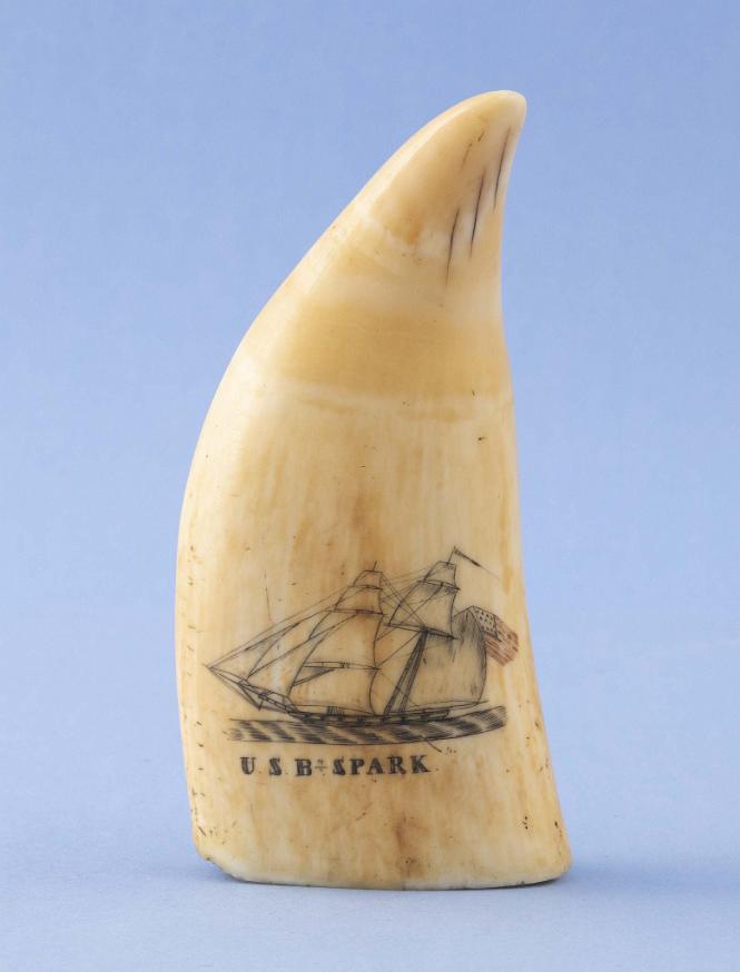 Polychrome Scrimshaw Whales Tooth Titled "U.S.B. SPARK", American Circa 1840