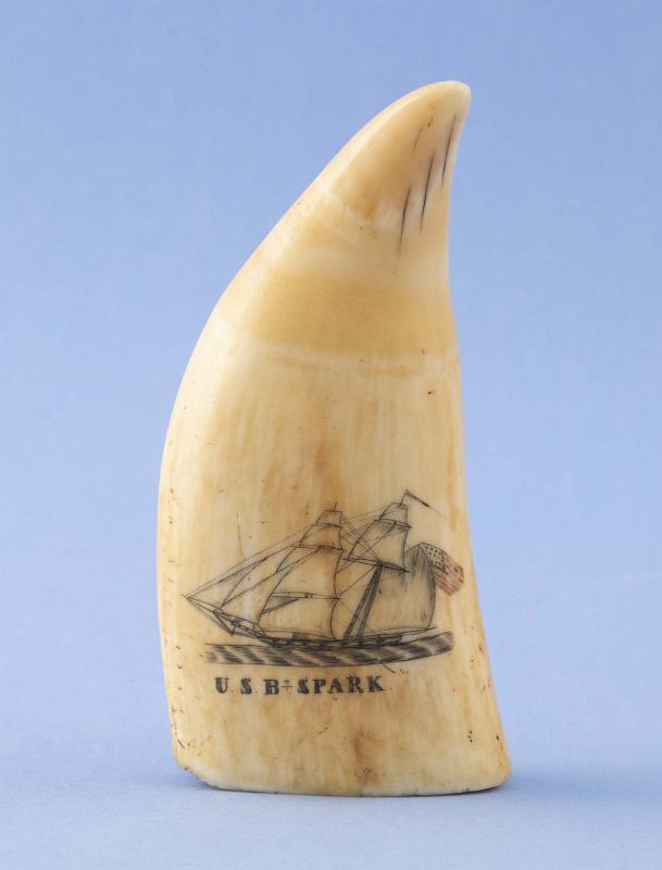 Polychrome Scrimshaw Whales Tooth Titled "U.S.B. SPARK", American Circa 1840