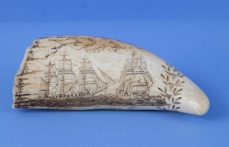 Outstanding Scrimshaw Whale's Tooth, Titled at the top of the obverse "Ship Romeo of NB", American, circa 1850