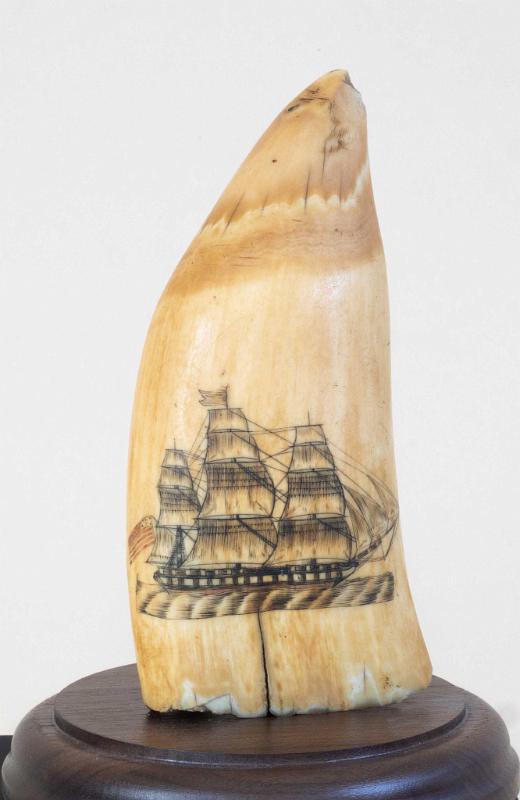 Polychrome Scrimshaw Whales Tooth Depicting a Finely Engraved American Ship, American Mid-19th Century