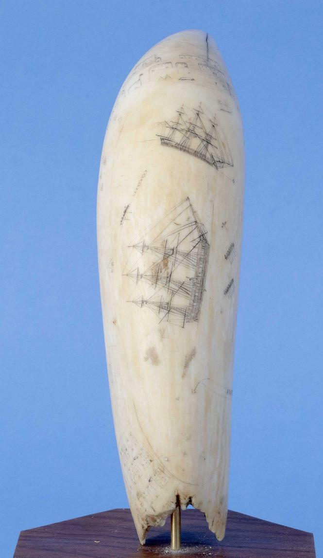Scrimshaw Whales Tooth with the Engraved Title "A View of Coquimbo Harbor, Attributed Josiah of Nantucket, American Circa 1827