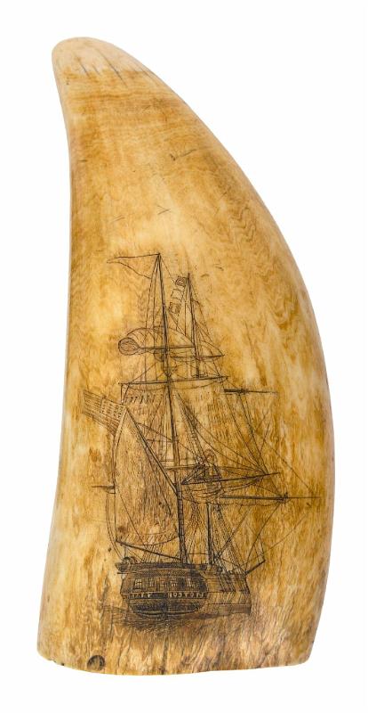 Large Whales Tooth with Bow and Stern View of the Ship "Mary" of Boston, Third Quarter 19th Century 