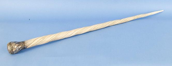 Important Rare Narwhal Cane with Engraved Presentation with a Bulbous-shaped Repousse Silver Grip