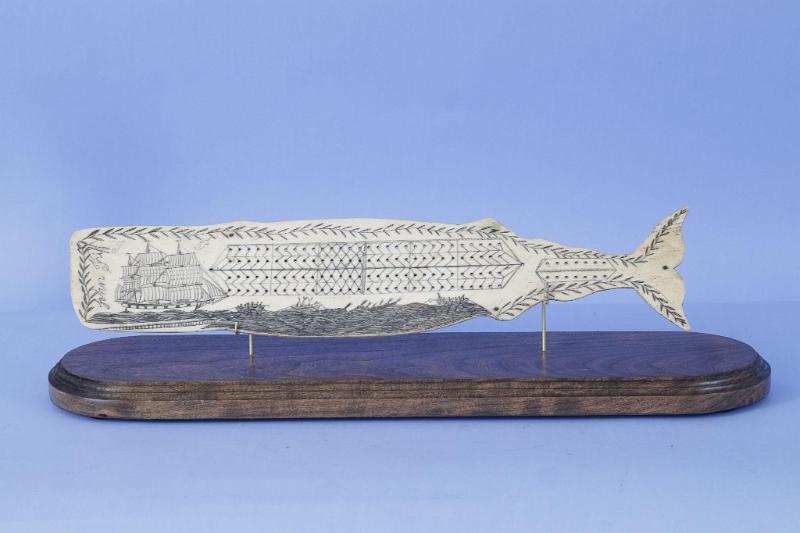 SCRIMSHAW WHALEBONE CRIBBAGE BOARD IN THE FORM OF A WHALE, American Mid 19th Century
