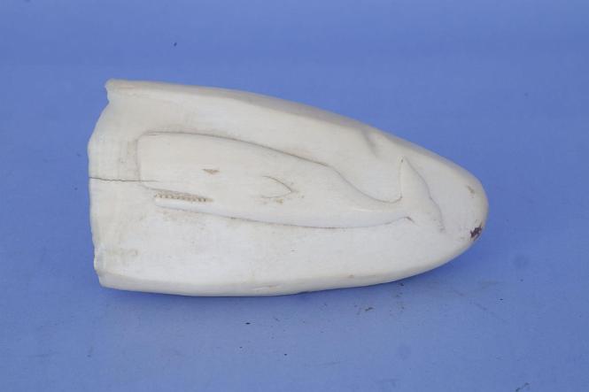 Whales Tooth with Raised carved Whale, 20th Century 